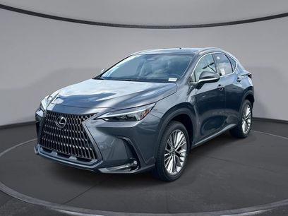 New 2026 Lexus NX 350 AWD w/ Luxury Package