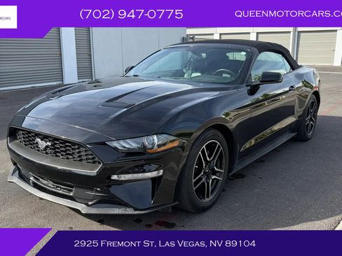 Used 2019 Ford Mustang Premium image 1