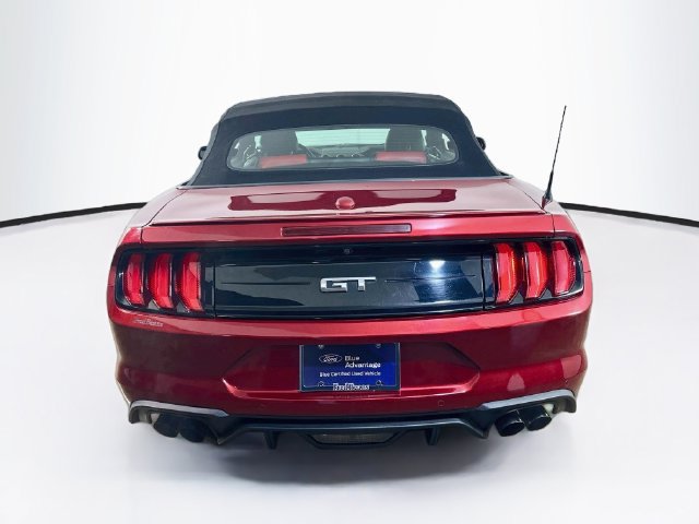 Used 2019 Ford Mustang GT Premium w/ Equipment Group 401A RWD image 10