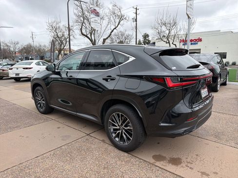 Used 2025 Lexus NX 350h AWD w/ Cold Area Package image 6
