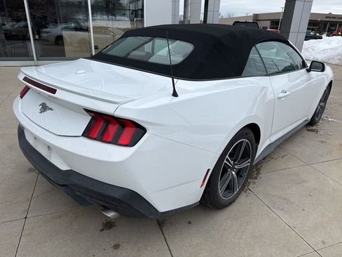 Used 2024 Ford Mustang Premium image 7