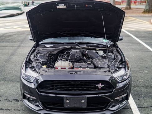 Used 2017 Ford Mustang GT Premium image 19