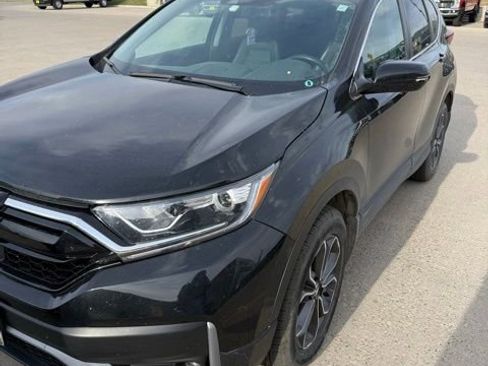 Used 2020 Honda CR-V EX-L image 4