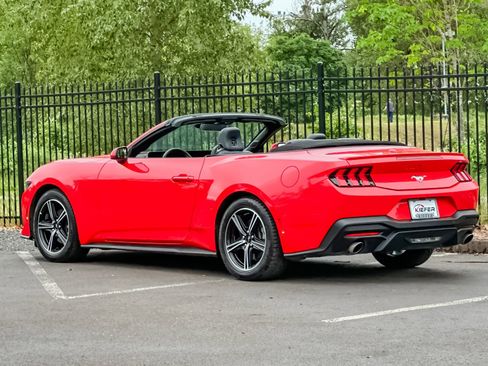 Used 2025 Ford Mustang Premium RWD image 5