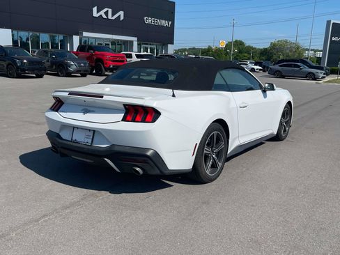 Used 2024 Ford Mustang Premium RWD image 3