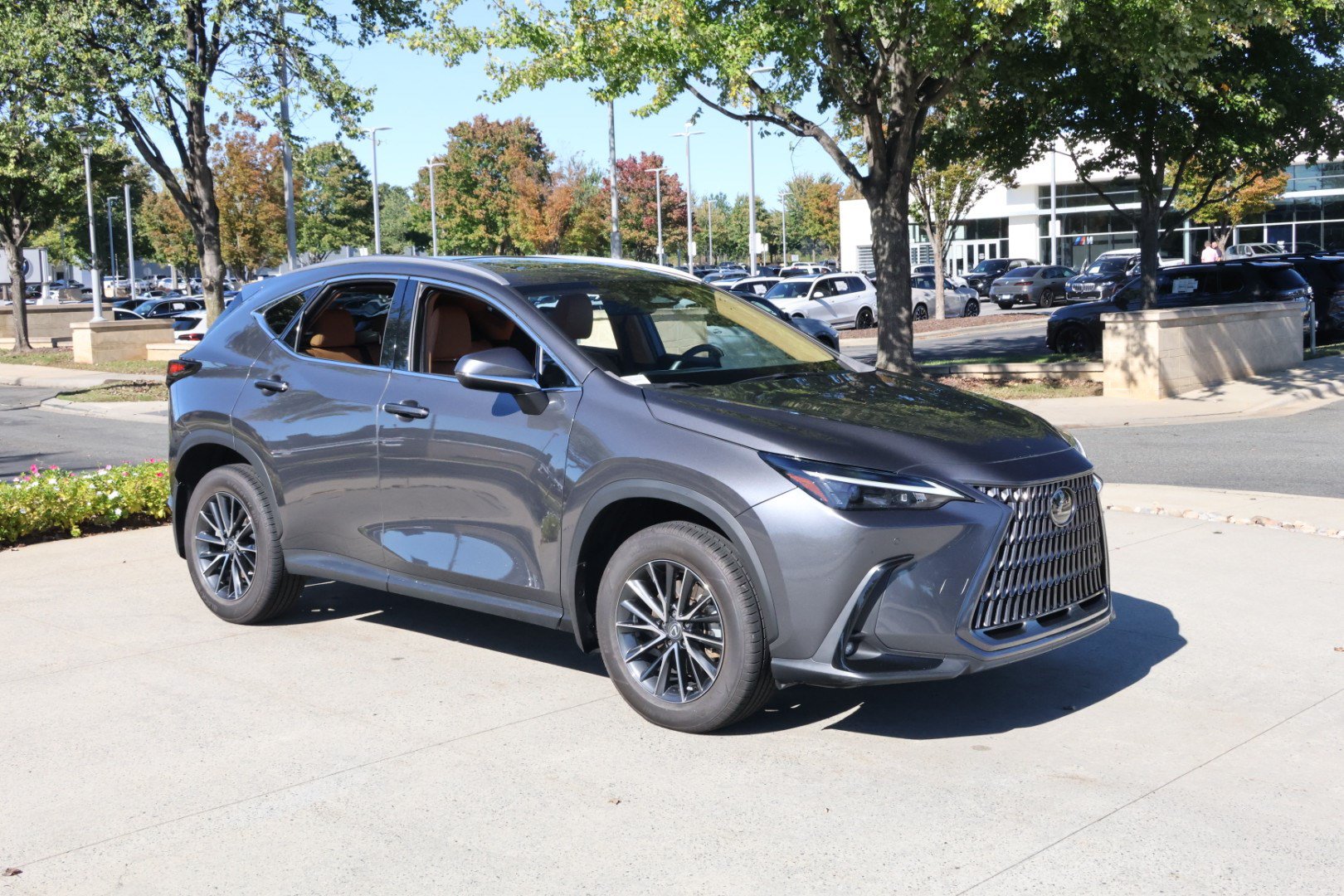 Certified 2024 Lexus NX 250 FWD image 2