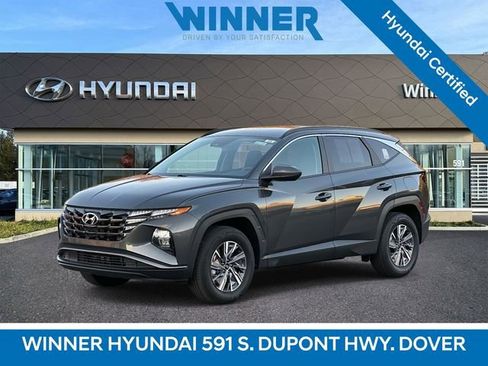 Certified 2024 Hyundai Tucson Blue image 1