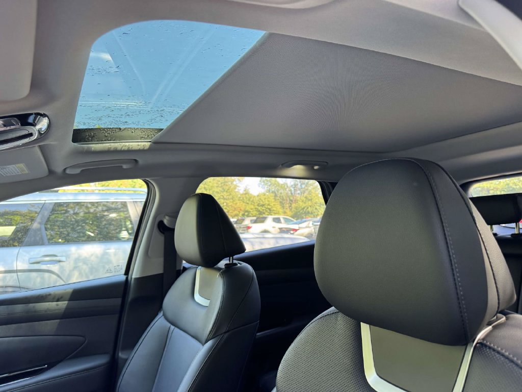 New 2026 Hyundai Tucson Limited AWD/4WD image 16