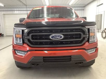 Used 2023 Ford F150 XLT w/ Equipment Group 302A High