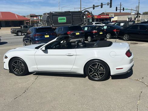 Used 2020 Ford Mustang Premium RWD image 6