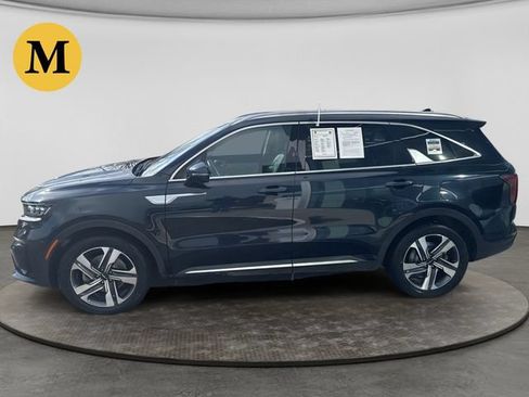 Used 2024 Kia Sorento SX Prestige AWD/4WD image 3