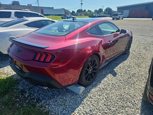 Used 2025 Ford Mustang Coupe RWD image 7