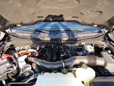 New 2026 Ford Expedition Tremor image 4