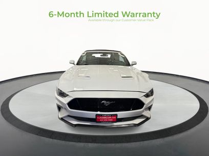 Used 2019 Ford Mustang GT Premium w/ Equipment Group 401A