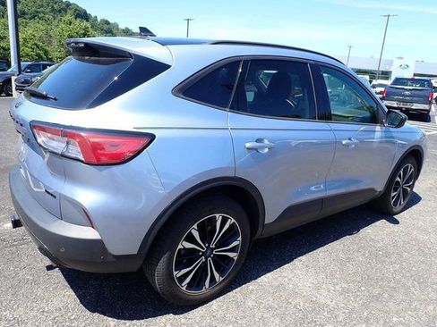 Used 2022 Ford Escape SEL w/ SEL Stealth AWD Package image 6