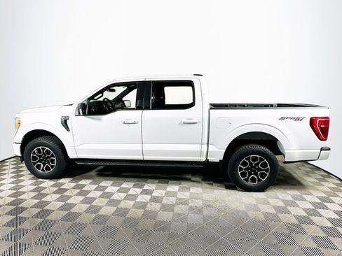 Used 2023 Ford F150 XLT w/ Equipment Group 302A High AWD/4WD image 6