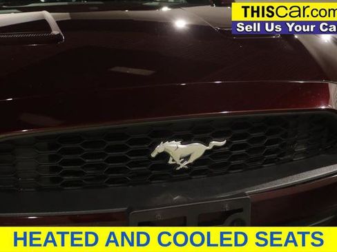 Used 2018 Ford Mustang Premium w/ Safe & Smart Package RWD image 12