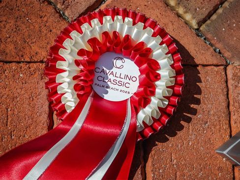 Used 2005 Ferrari 575M Maranello Superamerica image 46