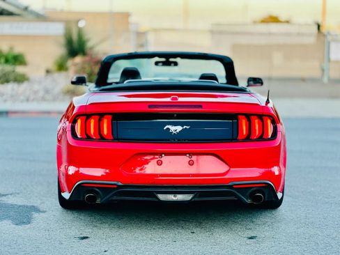 Used 2019 Ford Mustang Premium RWD image 5