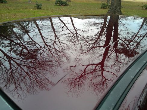 Used 2011 Ford Taurus SEL w/ 201A Rapid Spec Order Code image 9