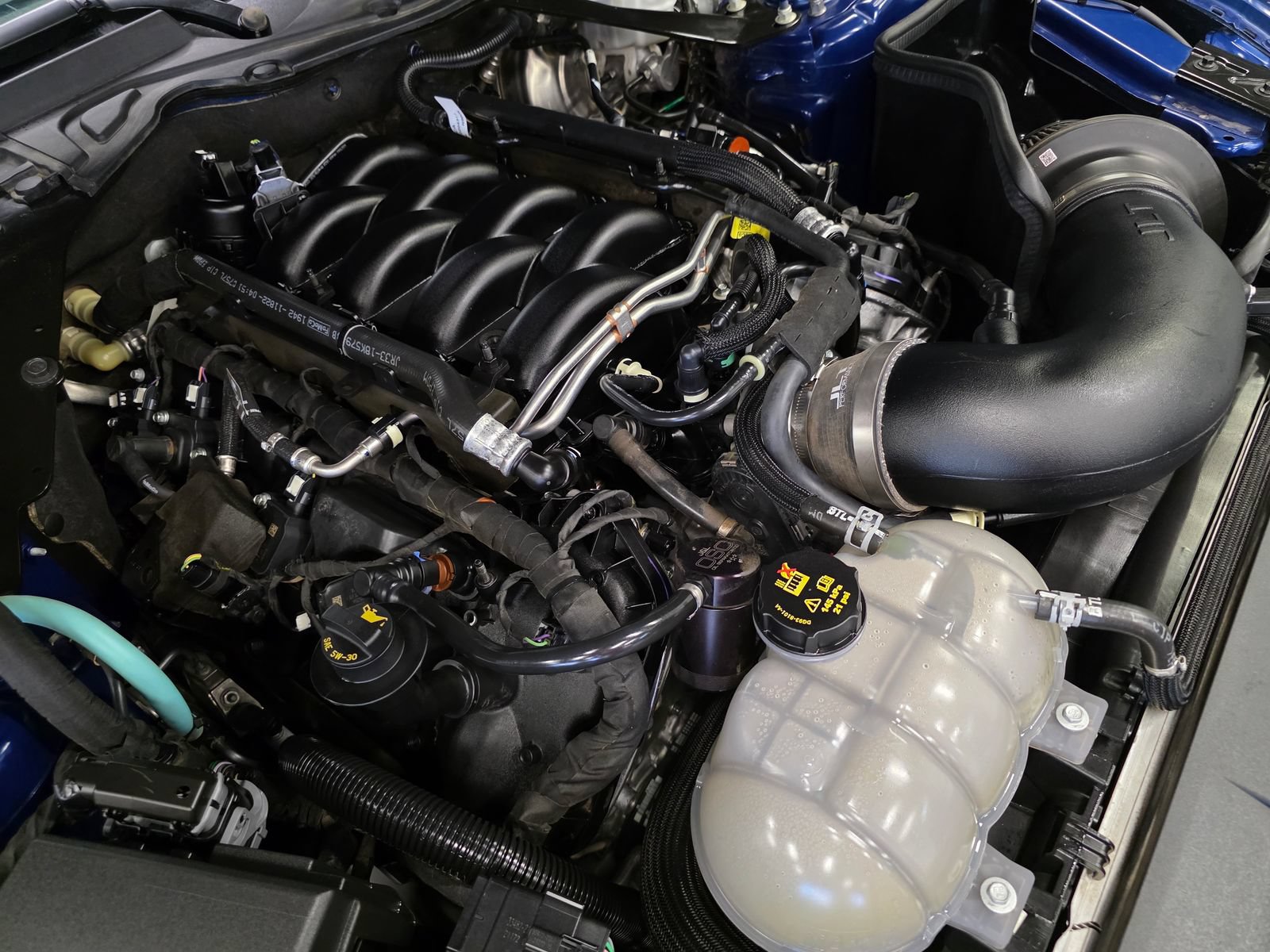 Used 2022 Ford Mustang GT Premium w/ Equipment Group 401A RWD image 40