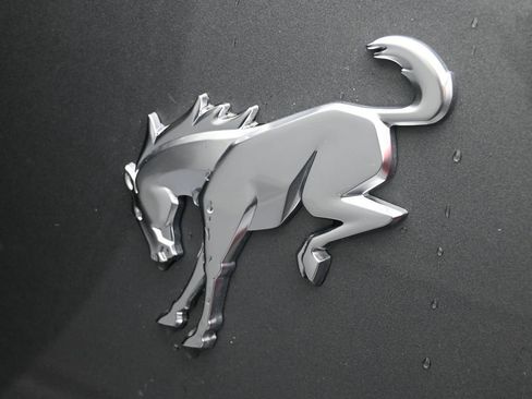 Used 2025 Ford Bronco Big Bend AWD/4WD image 16