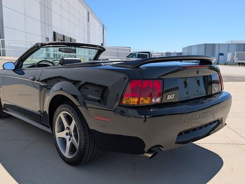 Used 1999 Ford Mustang Cobra RWD image 9