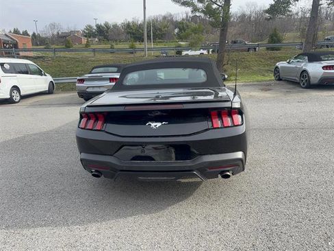 Used 2024 Ford Mustang Premium image 7