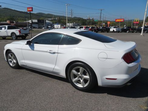 Used 2019 Ford Mustang Coupe image 5
