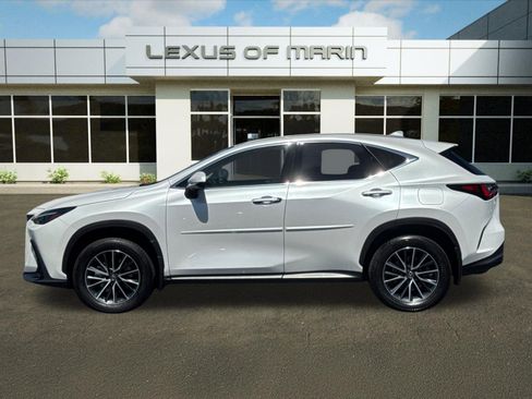 Used 2024 Lexus NX 250 FWD image 2