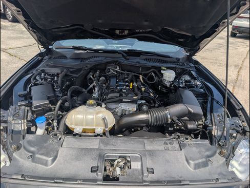 Used 2023 Ford Mustang Coupe w/ Equipment Group 101A RWD image 24