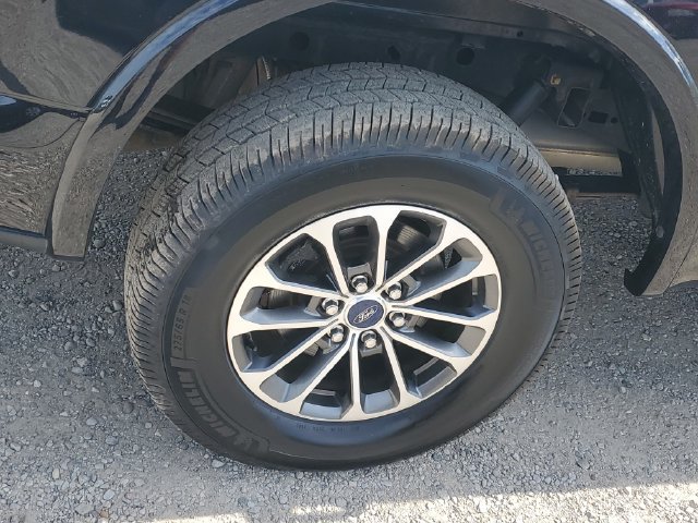Used 2019 Ford F150 XLT w/ Equipment Group 302A Luxury AWD/4WD image 5