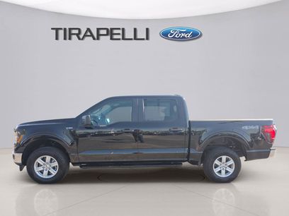 Certified 2024 Ford F150 XL w/ Equipment Group 103A High