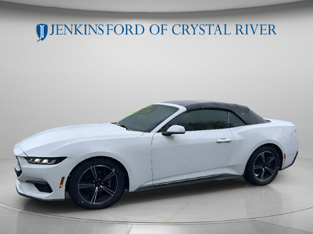 Used 2024 Ford Mustang Premium RWD image 13