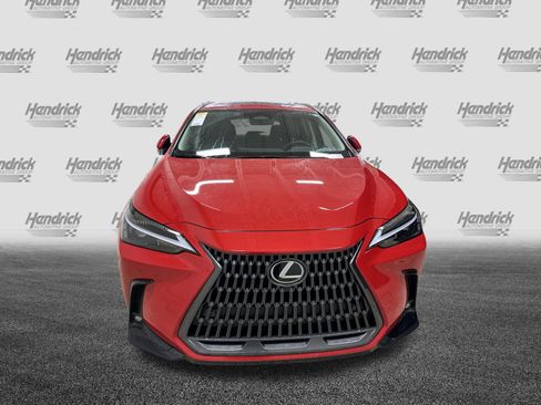 Used 2025 Lexus NX 350h AWD w/ Cold Area Package image 3