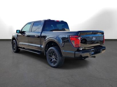 New 2025 Ford F150 STX w/ STX Black Appearance Package