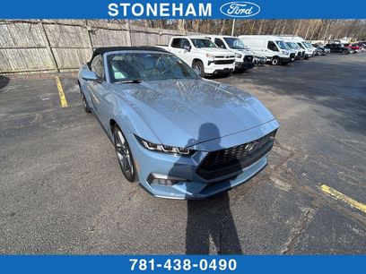 Used 2025 Ford Mustang Premium