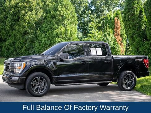 Used 2023 Ford F150 XLT w/ Equipment Group 302A High AWD/4WD image 9