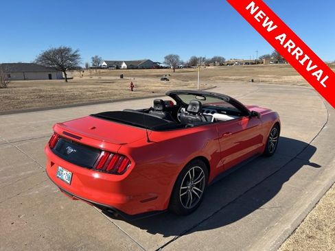 Used 2015 Ford Mustang Premium w/ Equipment Group 201A image 17