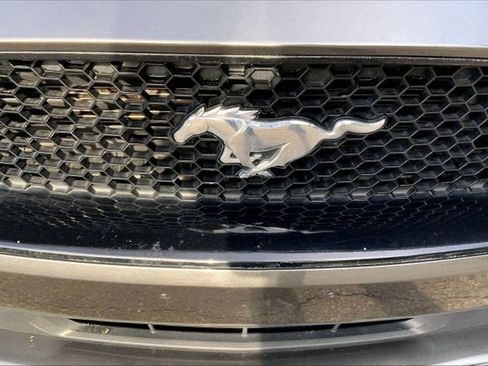 Used 2020 Ford Mustang Premium RWD image 5