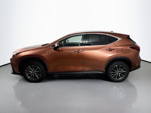 Certified 2025 Lexus NX 350 AWD w/ Cold Area Package image 5