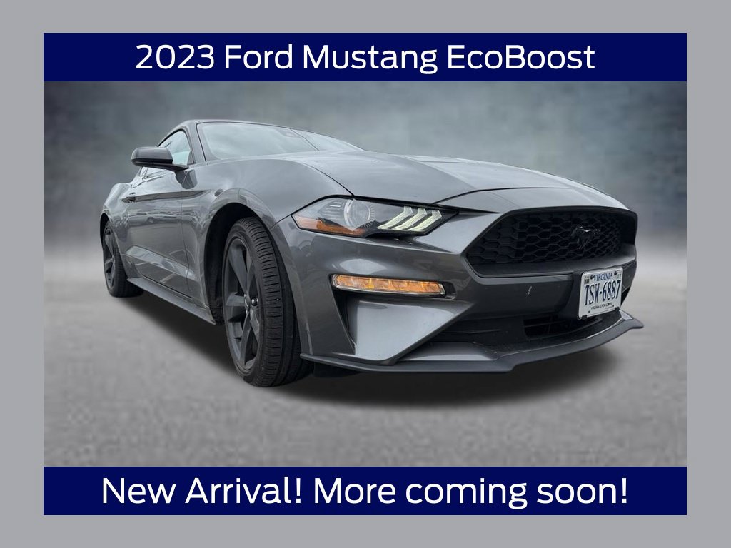 Used 2023 Ford Mustang Coupe w/ Equipment Group 101A RWD image 1