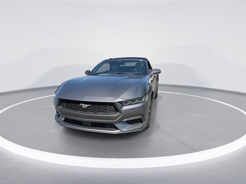 Used 2024 Ford Mustang Premium RWD image 3