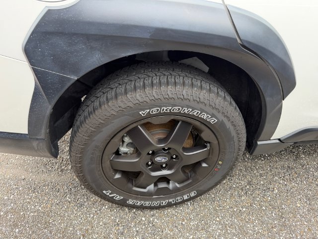Used 2024 Subaru Outback Wilderness AWD/4WD image 10