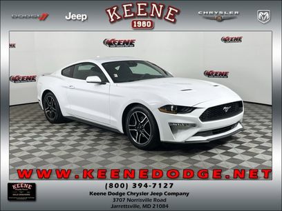 Used 2022 Ford Mustang Coupe w/ Equipment Group 101A