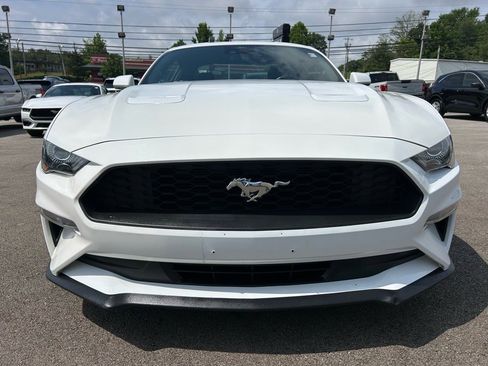 Used 2023 Ford Mustang Premium image 2