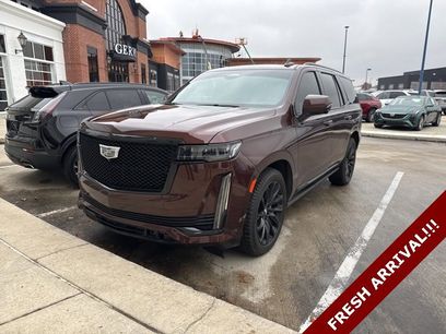 Used 2023 Cadillac Escalade Sport Platinum w/ LPO, ONYX Package