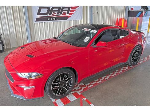Used 2019 Ford Mustang Coupe w/ Equipment Group 101A RWD image 1