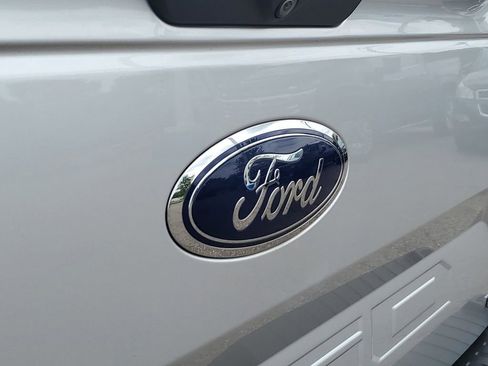 Used 2019 Ford F150 XLT w/ Equipment Group 302A Luxury AWD/4WD image 37
