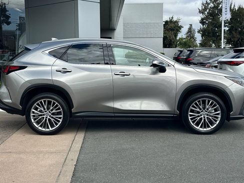 Used 2025 Lexus NX 350h AWD w/ Cold Area Package image 3
